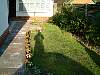 DSCF0037.JPG