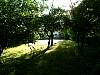 DSCF0043.JPG