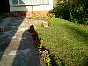 DSCF0056.JPG