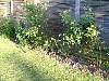 DSCF0058.JPG